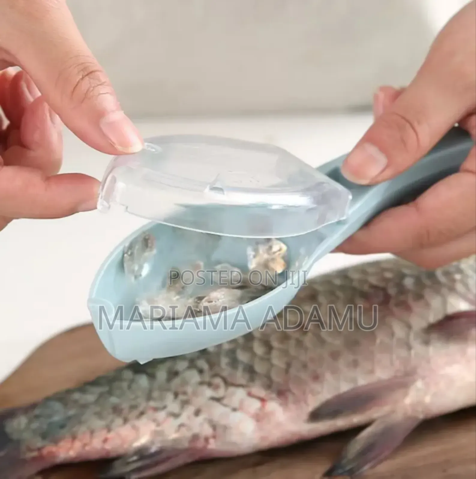 Fish Poachers
