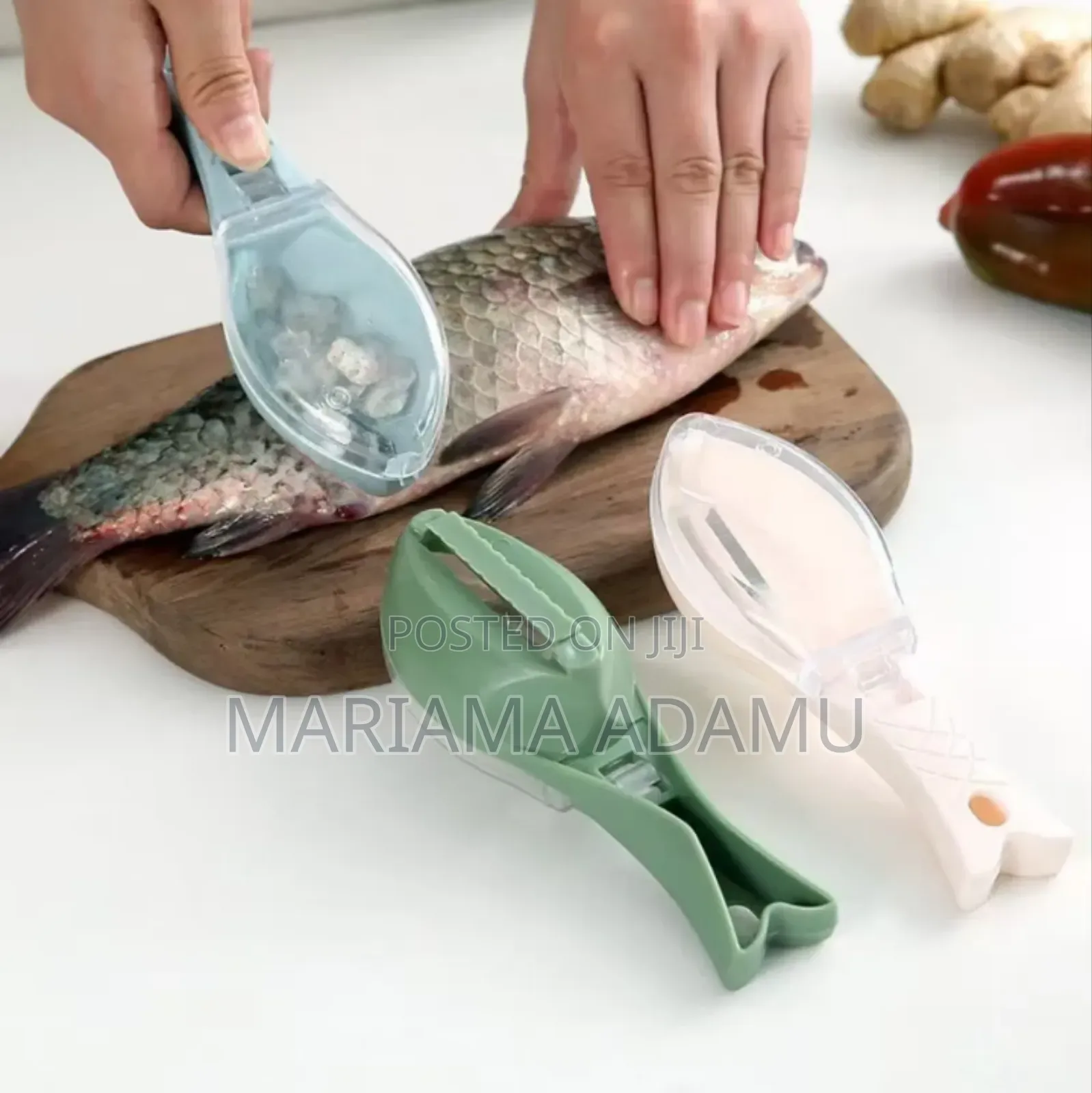Fish Poachers