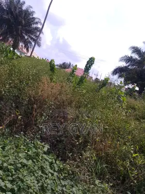 Botwe Estate Half Plot Available at Agona Swedru.