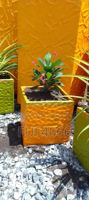 Landscaping Garden Setup Flower Planting Maintenance Indoor Outd