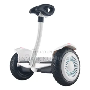 Two Wheels Big Size Electric Self-balance Scooter
