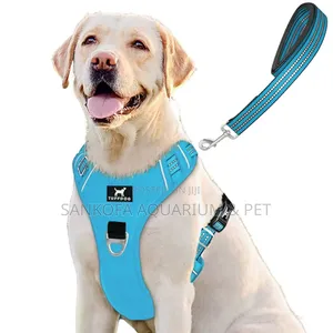 Dog Harness