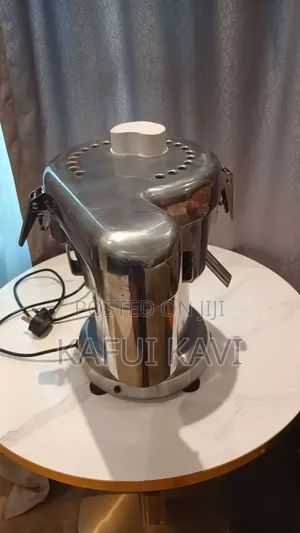 Effective Fruit Juicer
