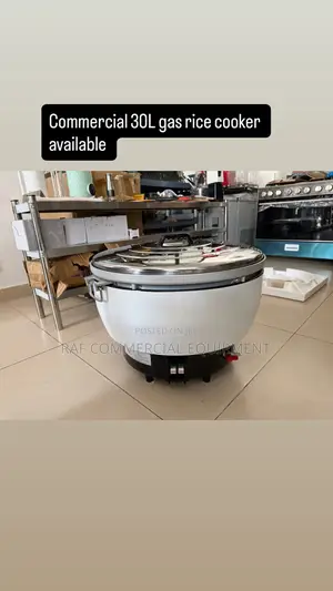 Commercial 30l Gas Rice Cooker