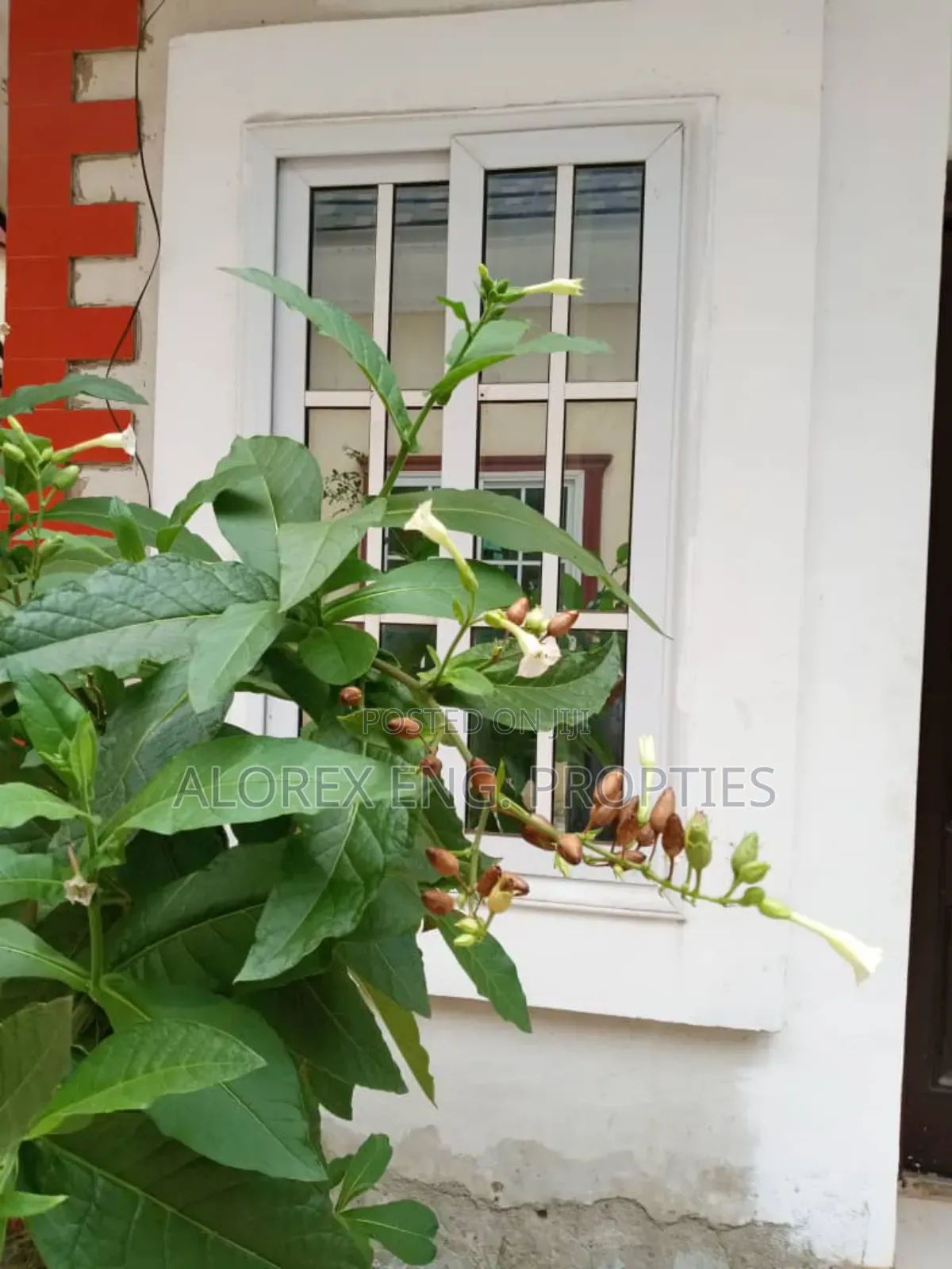Furnished 2bdrm Apartment in Furnished, Abokobi for rent