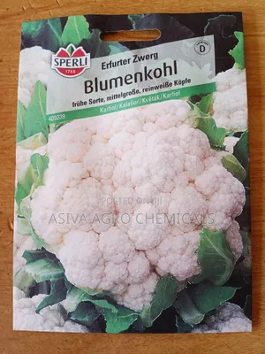 Cauliflower Seeds