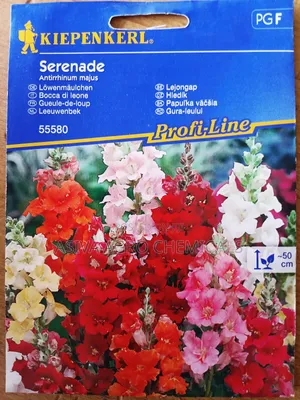 Snapdragon (Serenade) Flower Seeds