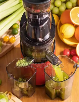 Sokany Je-25 Slow Juicer for Home Use