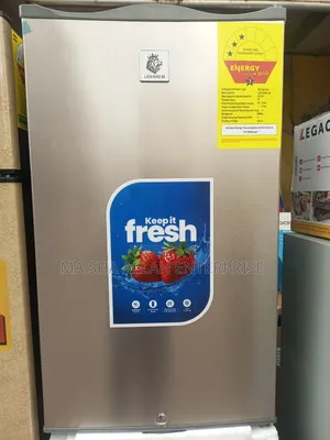 Super Powerful and Energy Efficient Lion King Table Top Fridge