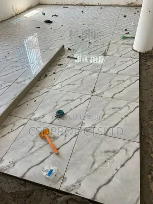 Express Interior Tiling Work Professional