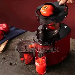 Experience Pure Juice With Sokany Slow Juicer