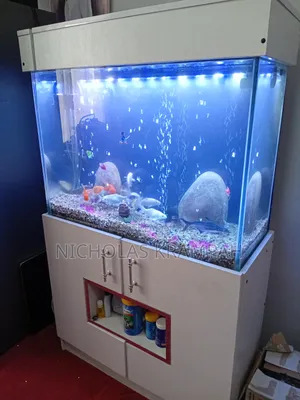 Aquarium Tanks