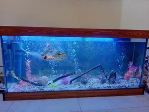 Aquarium Tank