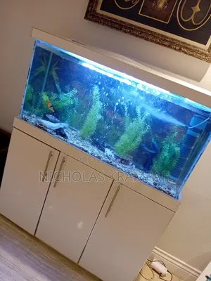 Aquarium Tank