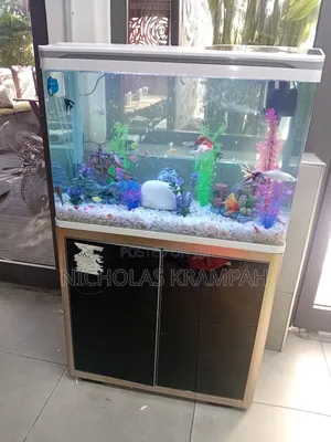 Aquarium Tank