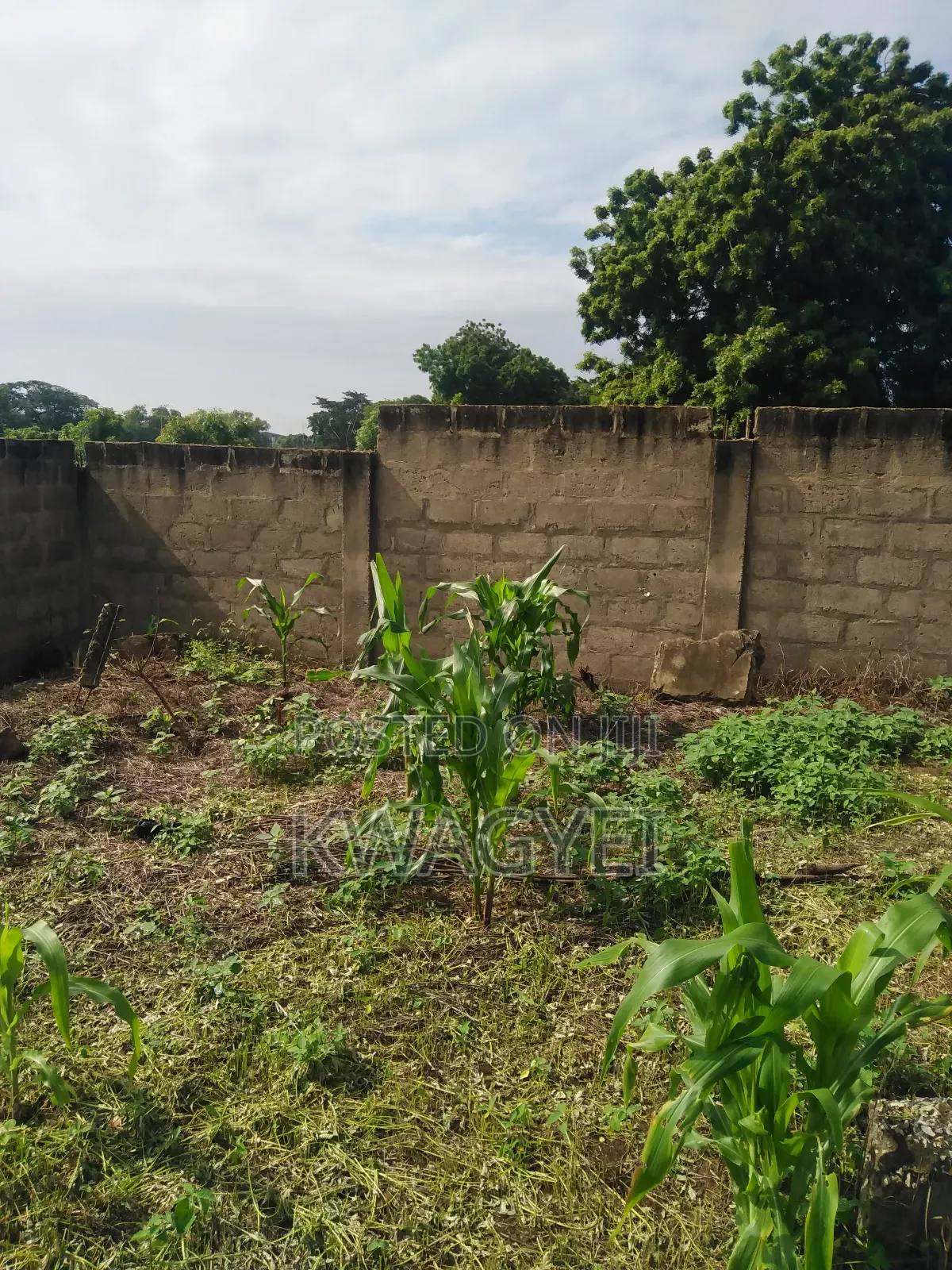 Industrial, Commercial and Farm Land for Sale