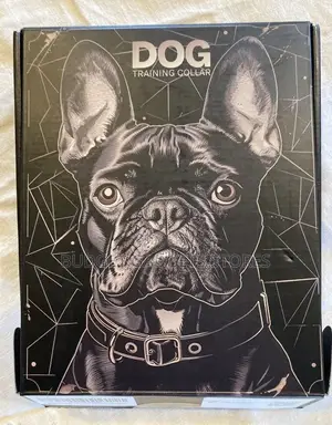 Dog Training Collar