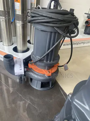 4hp /3kw/ Leo Sewage Pump