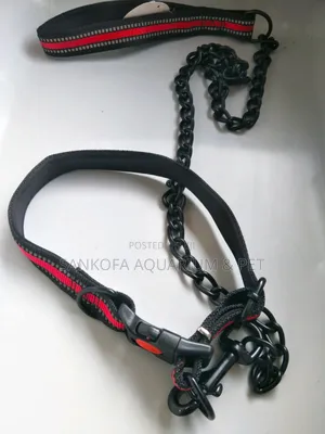 Quality Chain Leah With Collar