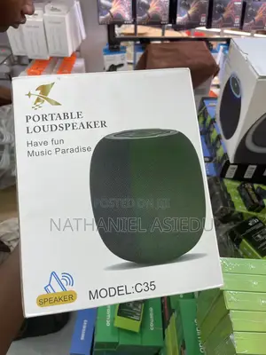 C35 Portable Loudspeaker