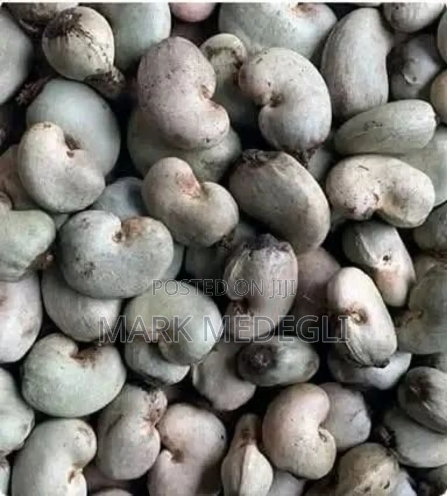 Raw Cashew