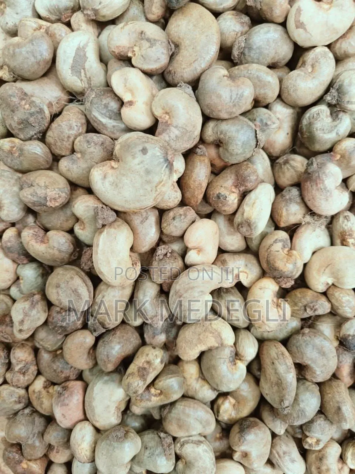 Raw Cashew