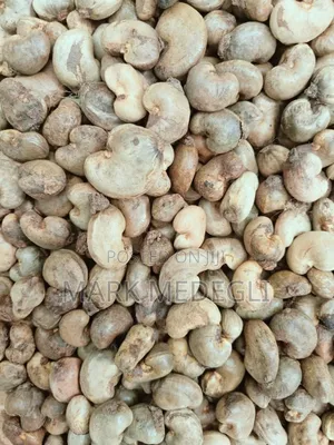 Raw Cashew