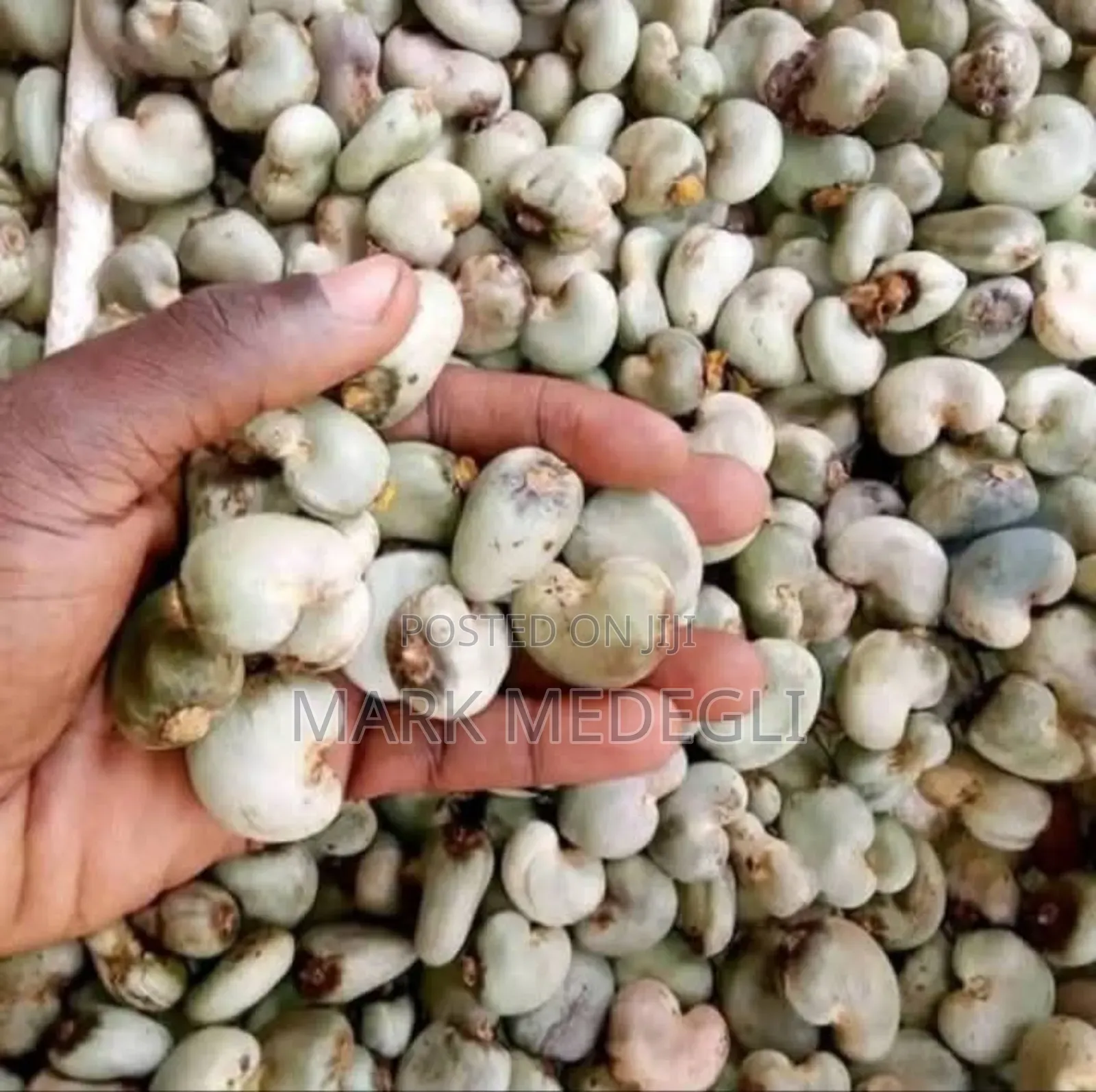 Raw Cashew