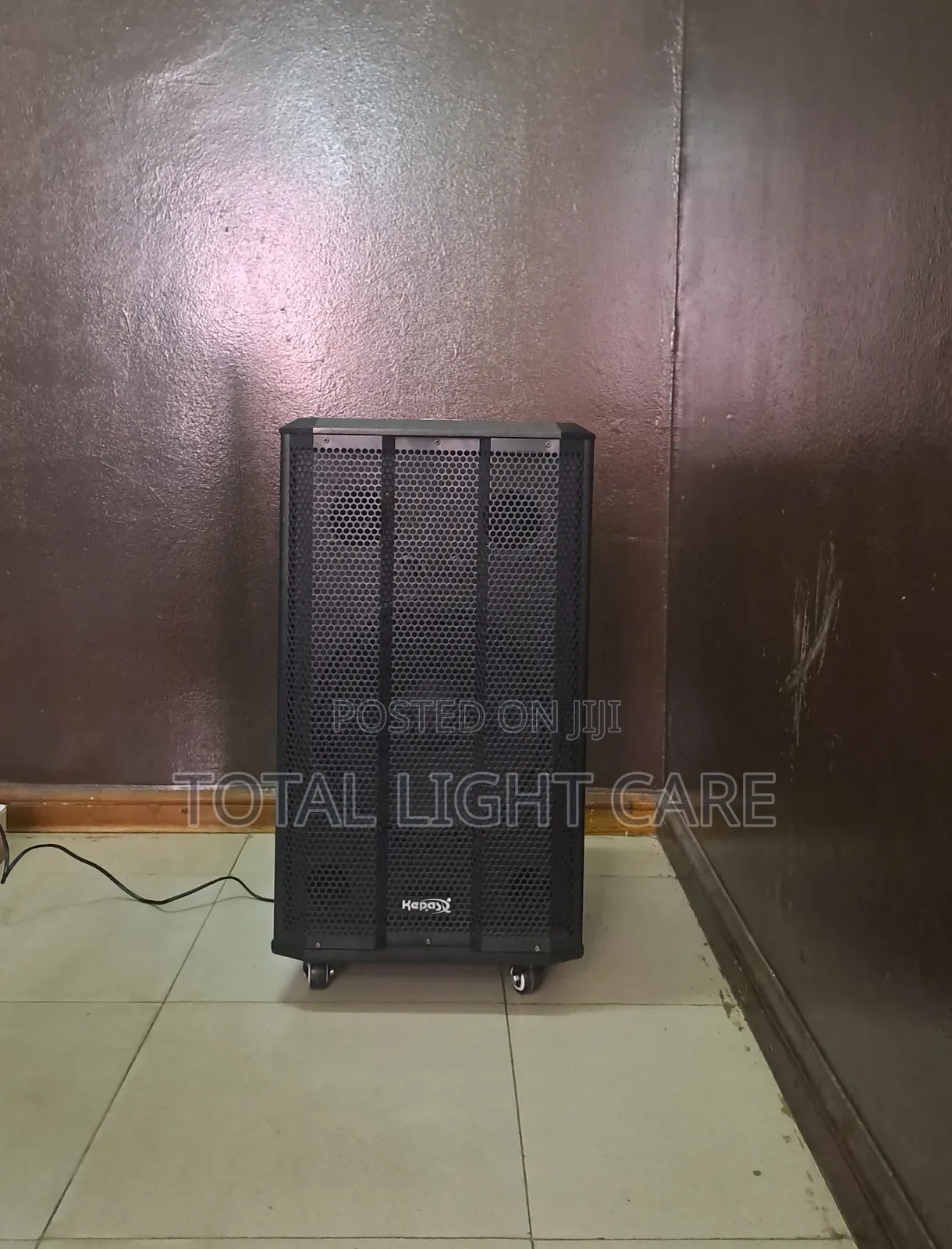 12inches Dj Speaker