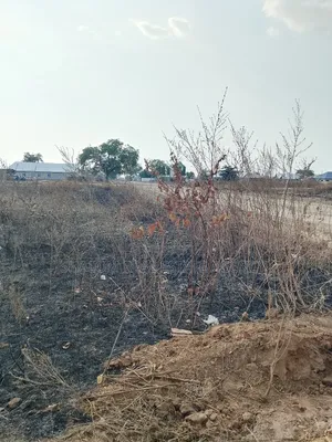 A Strategic One Acre Land at Bavim for Sale