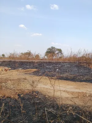 A Strategic One Acre Land at Bavim for Sale