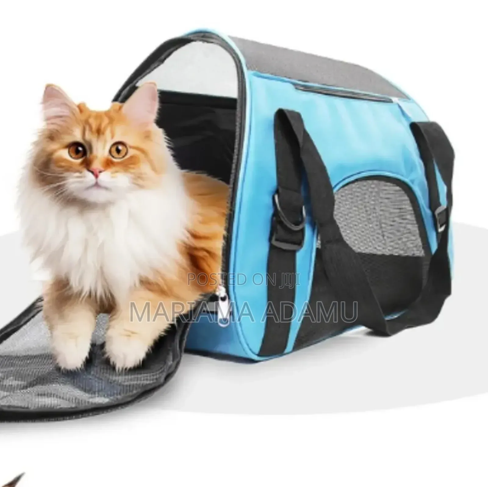 Pet's Bags