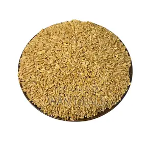 Wheat Broken /Unbroken (Olonka and 50kg Big Sack)