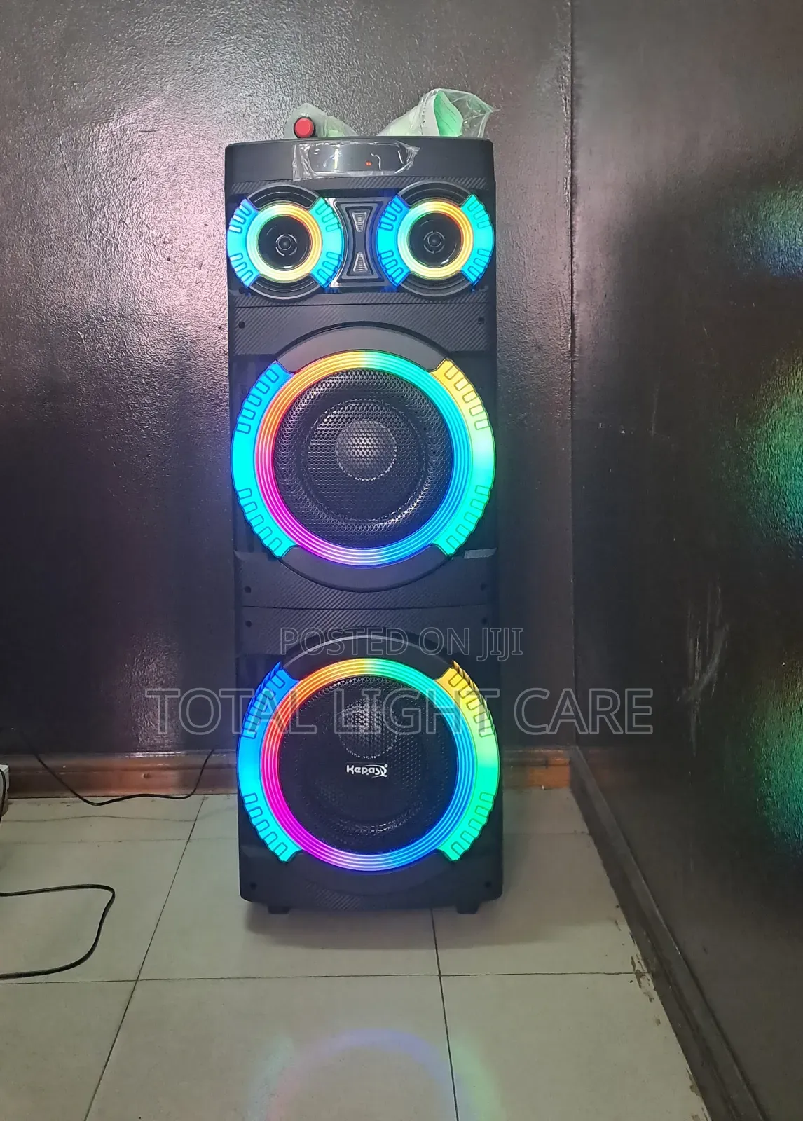 100 Watts 12 Inch RGB Rechargeable Dj Speaker