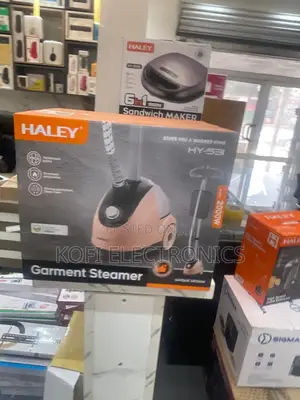 Modern Haley Handheld Garment Steamer Compact, Portable Easy-Use
