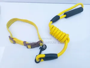 Pet Leash Chain With Collar