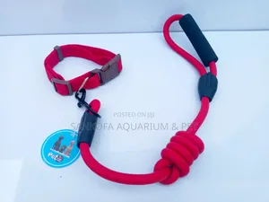 Pet Leash Chain With Collar