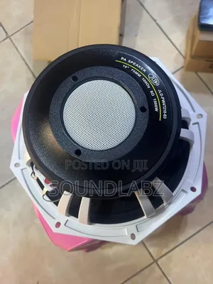 Jld 10-inch Double Magnet Pa Naked Speaker/Subwoofer.