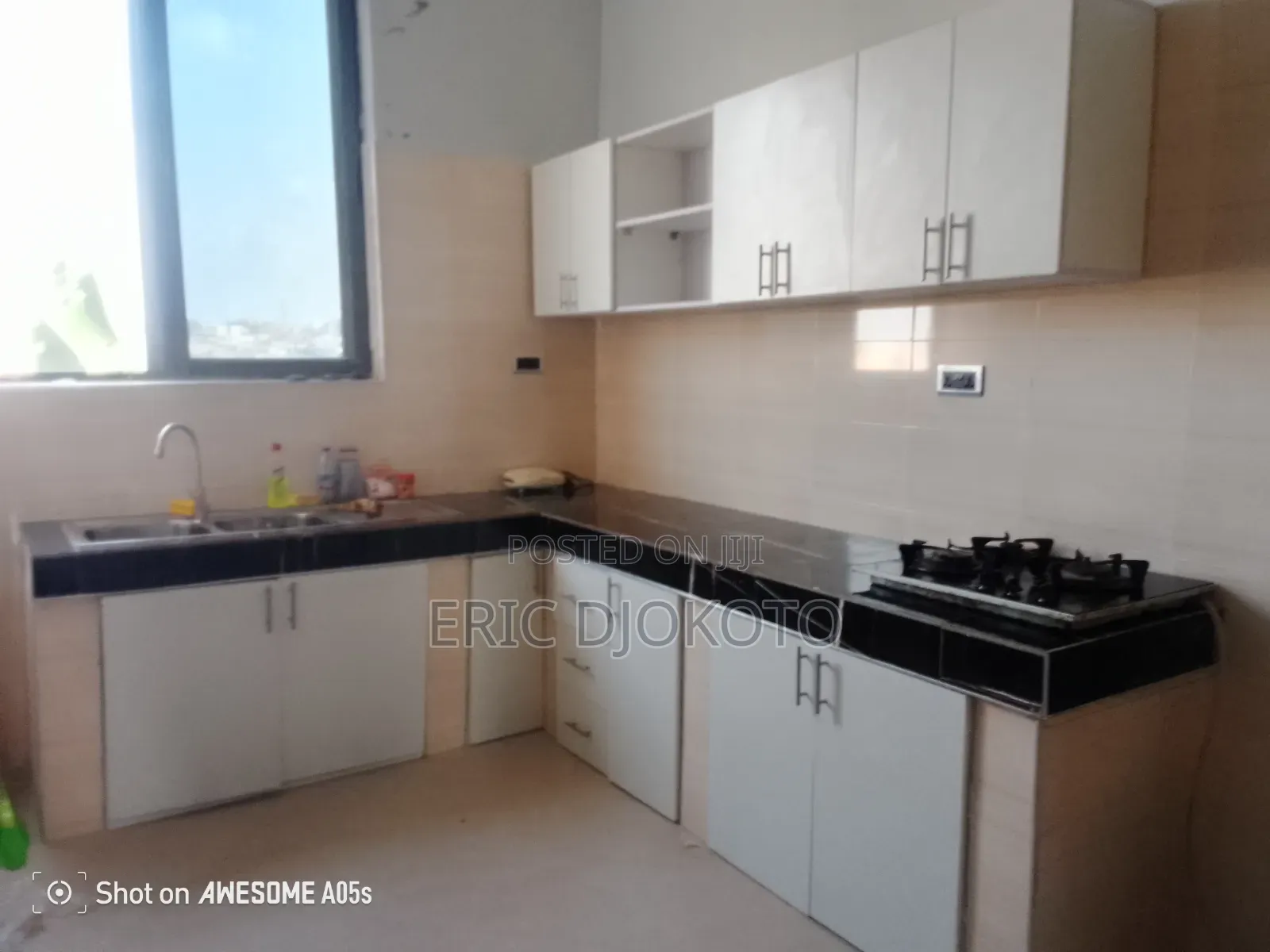 Ultra Modern Kitchen Cabinets
