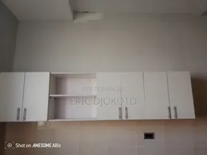 Ultra Modern Kitchen Cabinets