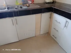 Ultra Modern Kitchen Cabinets