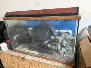 Aquarium , Fish Tank