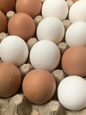 Fresh Eggs Available