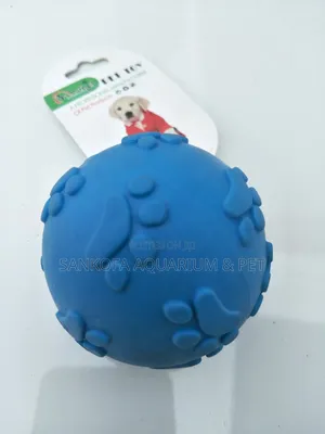 Dog Ball Play Toy