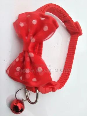 Quality Dog Collar