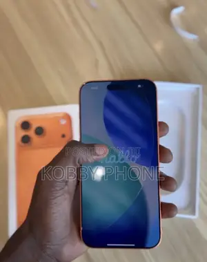 Apple iPhone 17 Pro Max 256 GB Orange