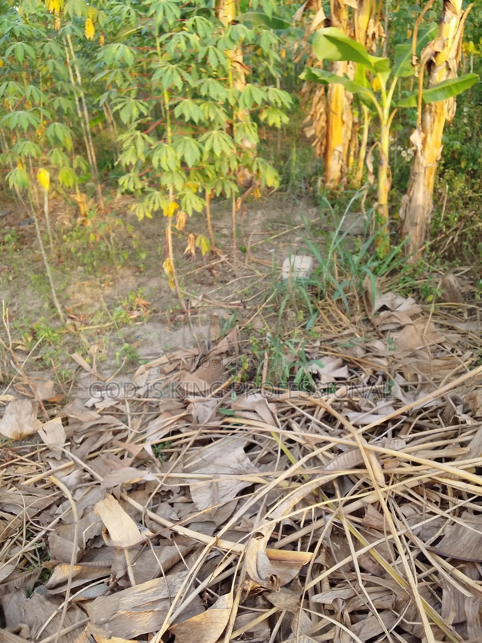 Land for Sale