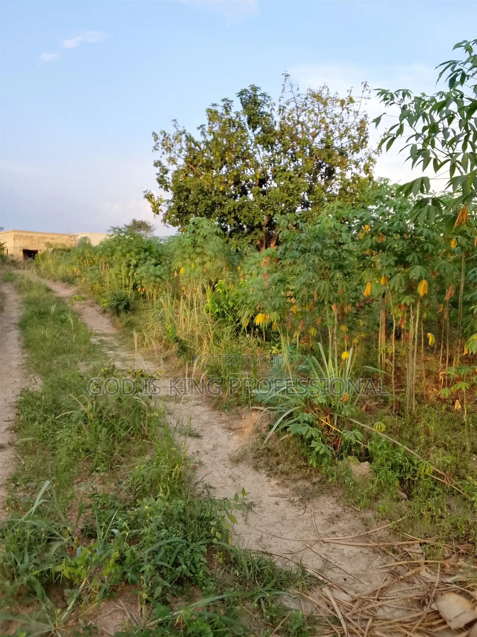 Land for Sale