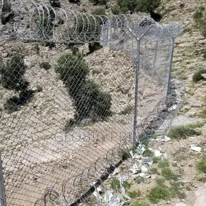 Chain Link Fence