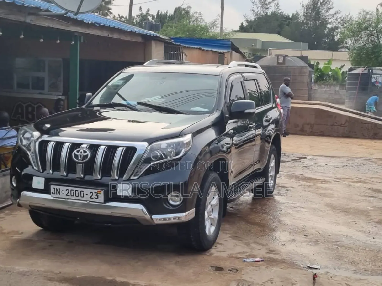 Car Rentals
